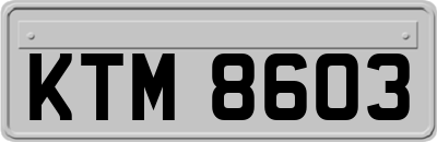 KTM8603