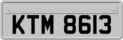 KTM8613