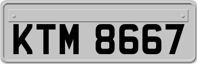 KTM8667