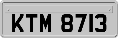 KTM8713