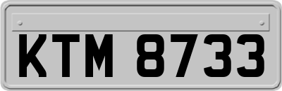 KTM8733
