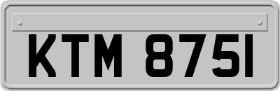 KTM8751