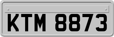KTM8873