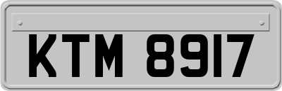KTM8917