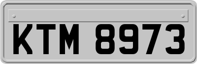 KTM8973