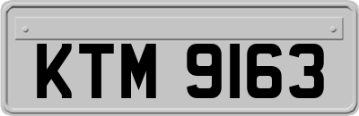 KTM9163