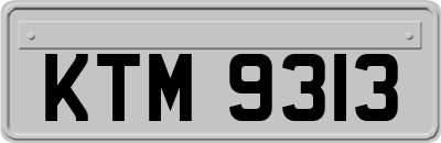 KTM9313