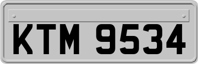 KTM9534
