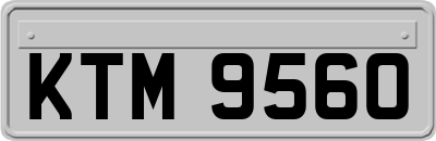 KTM9560