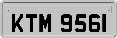 KTM9561