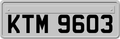KTM9603