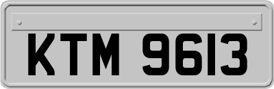 KTM9613