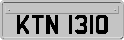 KTN1310
