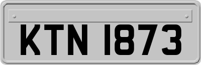 KTN1873