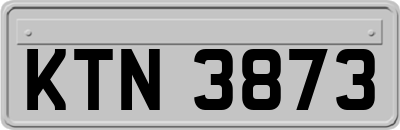 KTN3873