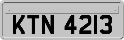 KTN4213