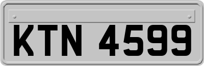 KTN4599