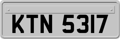 KTN5317