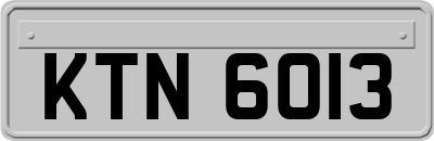 KTN6013