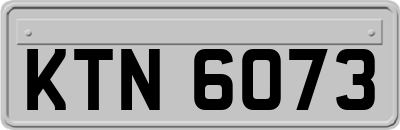 KTN6073