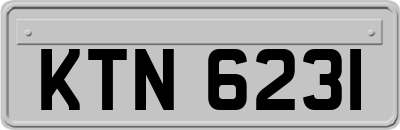 KTN6231