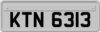 KTN6313