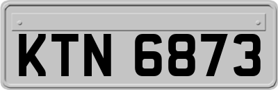 KTN6873
