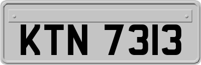 KTN7313
