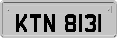 KTN8131