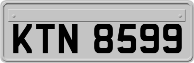 KTN8599