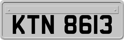 KTN8613
