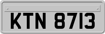 KTN8713