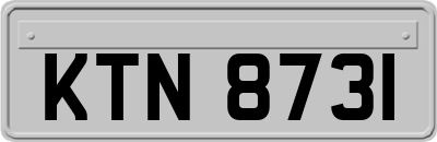 KTN8731