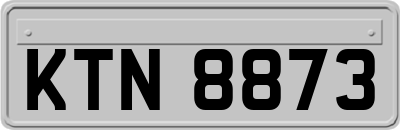 KTN8873
