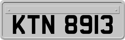 KTN8913