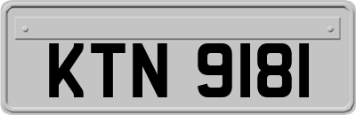 KTN9181