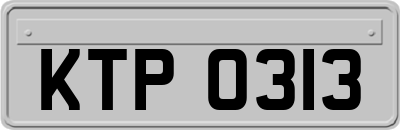 KTP0313
