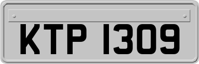 KTP1309