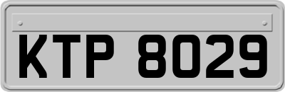 KTP8029