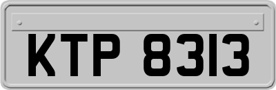 KTP8313