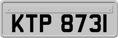 KTP8731