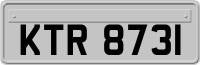 KTR8731