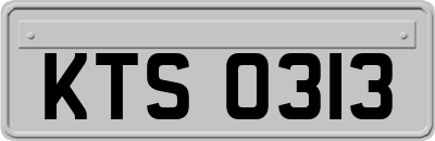 KTS0313