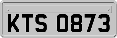 KTS0873