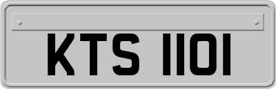 KTS1101