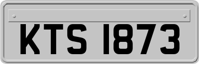 KTS1873