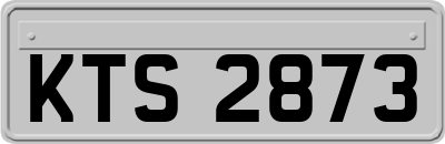 KTS2873