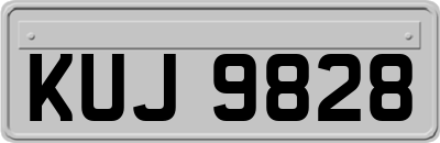 KUJ9828
