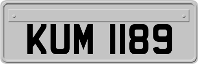 KUM1189