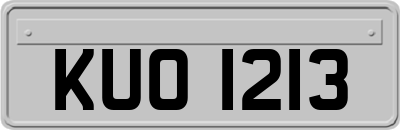 KUO1213